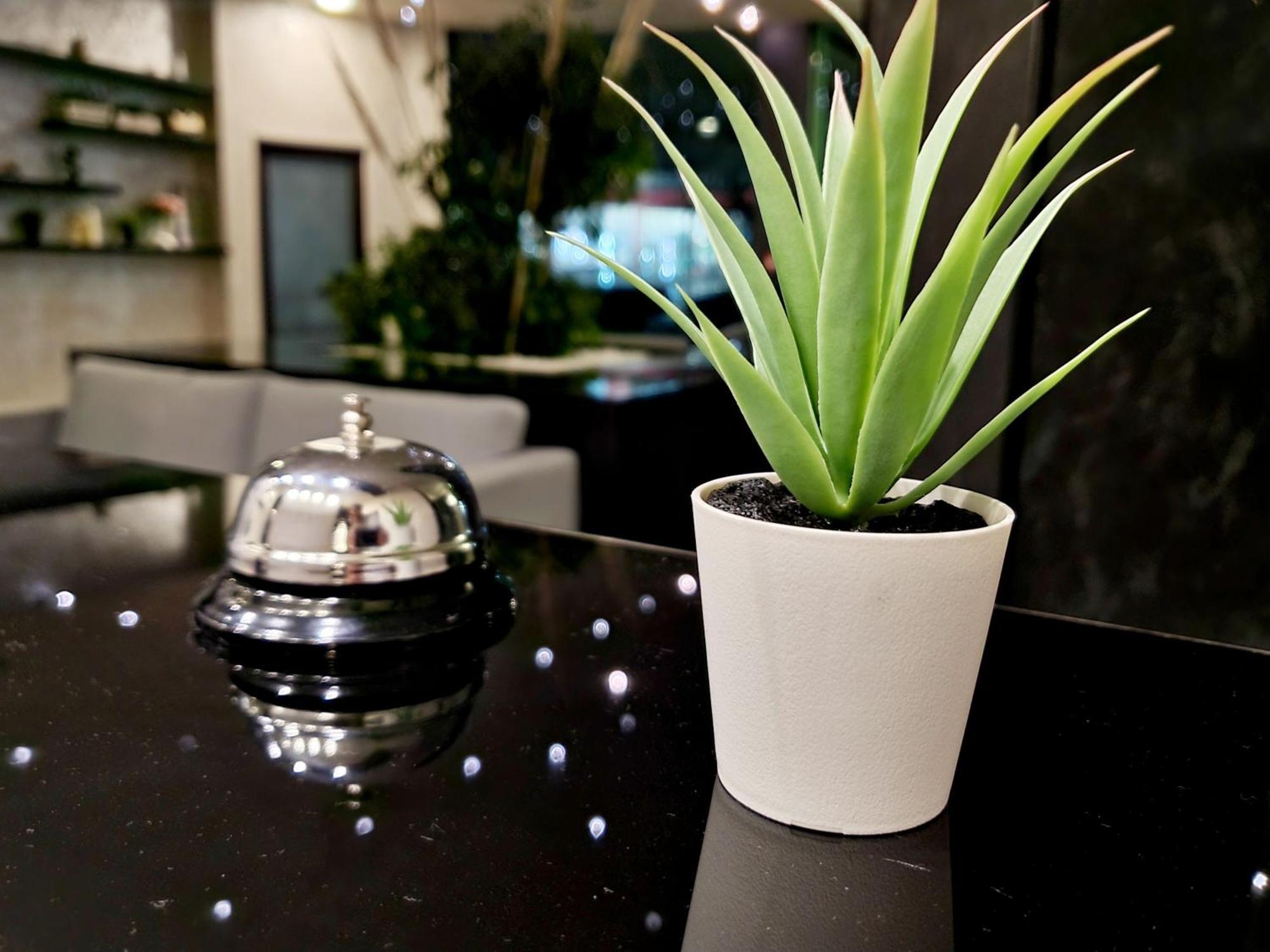 Hotel Juli サニービーチ エクステリア 写真